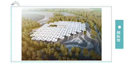 AgGame(����)�ٷ���վ